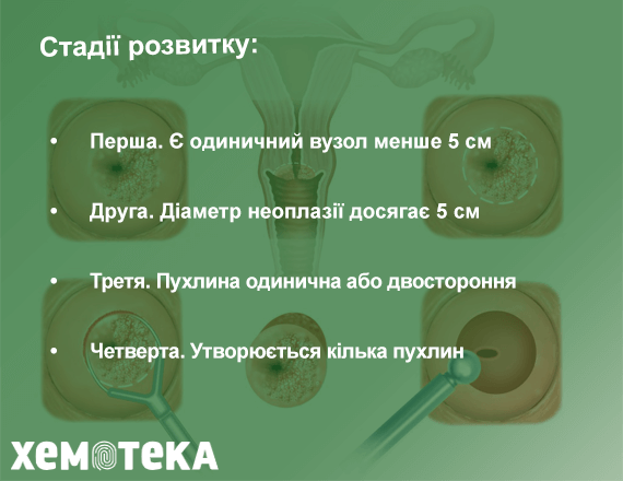 стадії