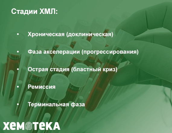 Стадии ХМЛ